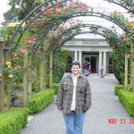 Botanical Garden in Christchurch....the rose garden